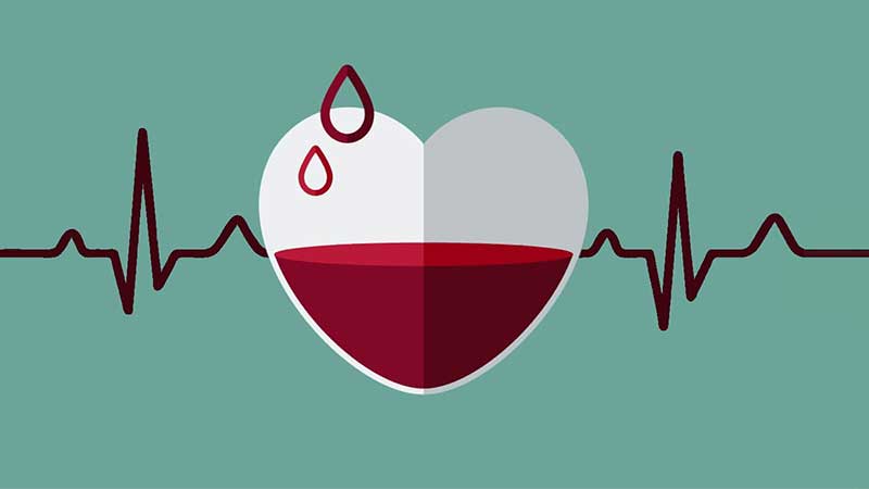 معرفی بهترین روش های پیشگیری از فقر آهن معرفی بهترین روش های پیشگیری از فقر آهن