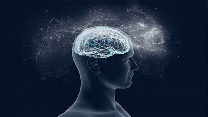 انجام تمرینات ورزشی به صورت منظم و همیشگی موثر در بالا بردن سطح هوشیاری انجام تمرینات ورزشی به صورت منظم و همیشگی موثر در بالا بردن سطح هوشیاری